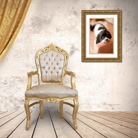 A Dogs Life V Gold Ornate Wood Framed Art Print with Double Matting by Millet, Karyn