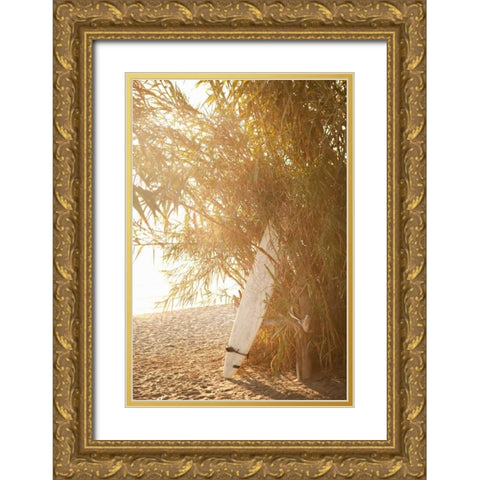 Tropical Oasis V Gold Ornate Wood Framed Art Print with Double Matting by Millet, Karyn