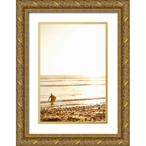 Tropical Oasis VI Gold Ornate Wood Framed Art Print with Double Matting by Millet, Karyn