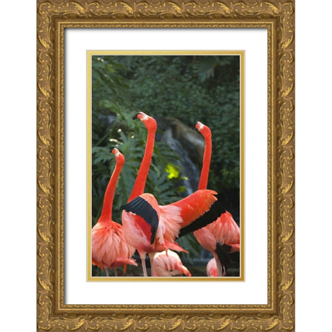 Flamingos I Gold Ornate Wood Framed Art Print with Double Matting by Millet, Karyn