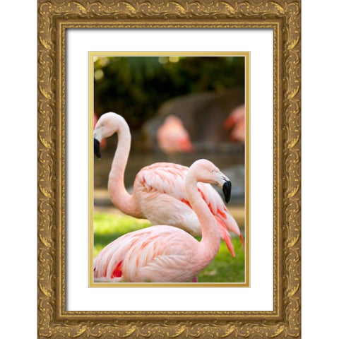 Flamingos II Gold Ornate Wood Framed Art Print with Double Matting by Millet, Karyn