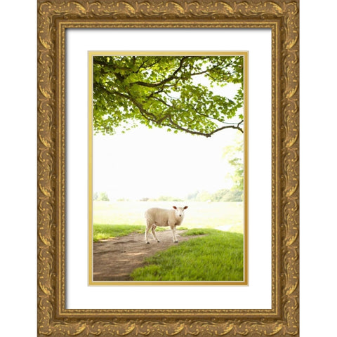 Pasture Sheep III Gold Ornate Wood Framed Art Print with Double Matting by Millet, Karyn