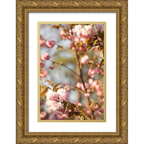 Spring Blossoms V Gold Ornate Wood Framed Art Print with Double Matting by Millet, Karyn