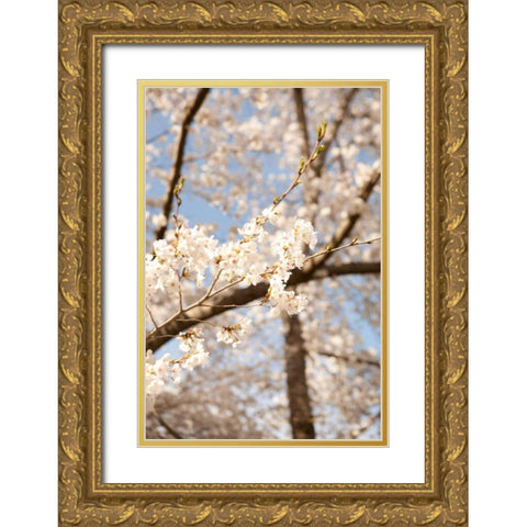 In Bloom I Gold Ornate Wood Framed Art Print with Double Matting by Millet, Karyn