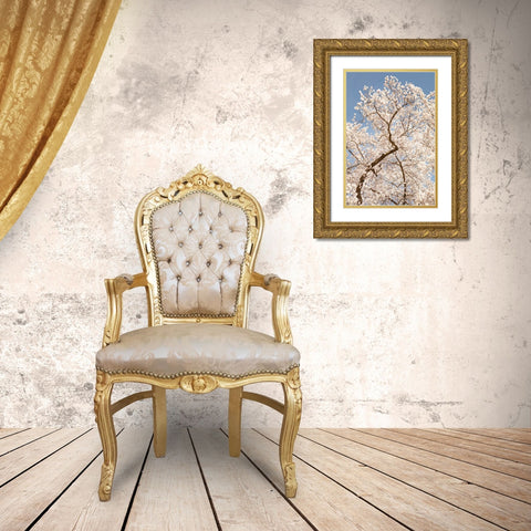 In Bloom II Gold Ornate Wood Framed Art Print with Double Matting by Millet, Karyn