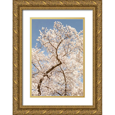 In Bloom II Gold Ornate Wood Framed Art Print with Double Matting by Millet, Karyn