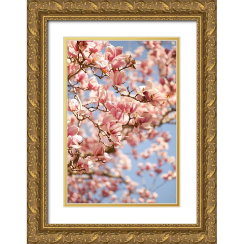 In Bloom III Gold Ornate Wood Framed Art Print with Double Matting by Millet, Karyn