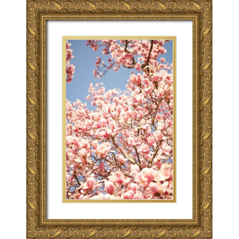 In Bloom IV Gold Ornate Wood Framed Art Print with Double Matting by Millet, Karyn
