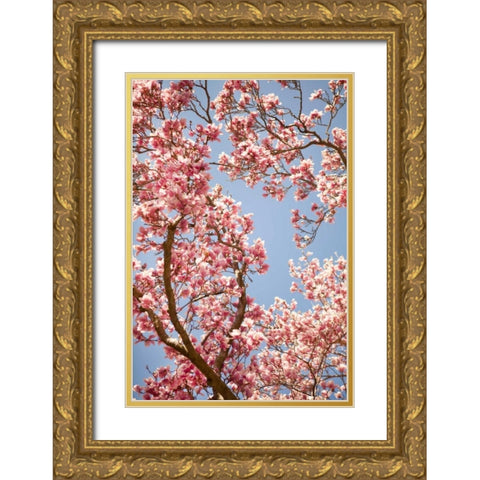 In Bloom V Gold Ornate Wood Framed Art Print with Double Matting by Millet, Karyn