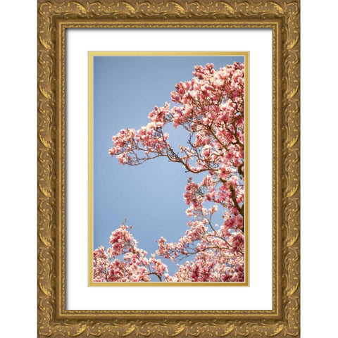 In Bloom VI Gold Ornate Wood Framed Art Print with Double Matting by Millet, Karyn