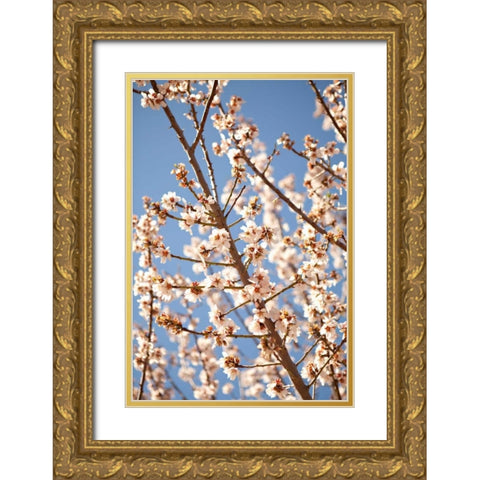 In Bloom VII Gold Ornate Wood Framed Art Print with Double Matting by Millet, Karyn