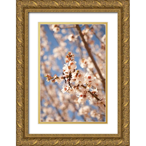 In Bloom VIII Gold Ornate Wood Framed Art Print with Double Matting by Millet, Karyn