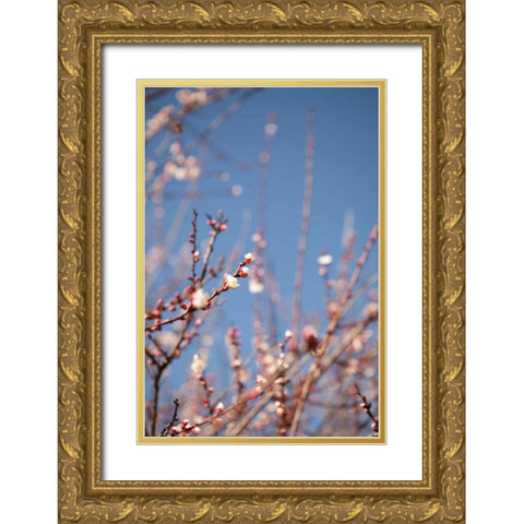 In Bloom IX Gold Ornate Wood Framed Art Print with Double Matting by Millet, Karyn