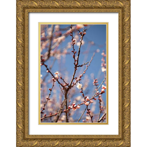 In Bloom X Gold Ornate Wood Framed Art Print with Double Matting by Millet, Karyn