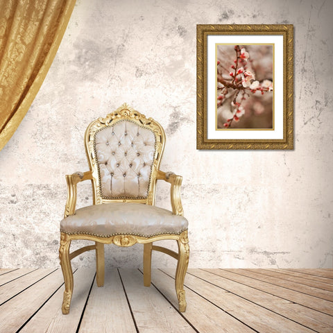 In Bloom XI Gold Ornate Wood Framed Art Print with Double Matting by Millet, Karyn