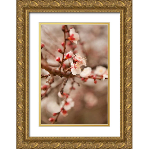 In Bloom XI Gold Ornate Wood Framed Art Print with Double Matting by Millet, Karyn