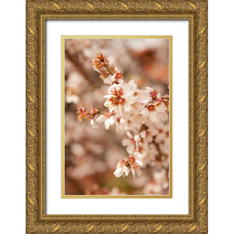 In Bloom XII Gold Ornate Wood Framed Art Print with Double Matting by Millet, Karyn