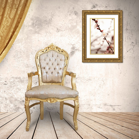 In Bloom XIII Gold Ornate Wood Framed Art Print with Double Matting by Millet, Karyn