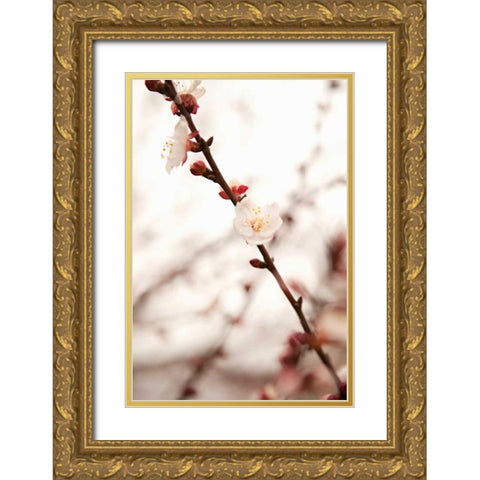 In Bloom XIII Gold Ornate Wood Framed Art Print with Double Matting by Millet, Karyn