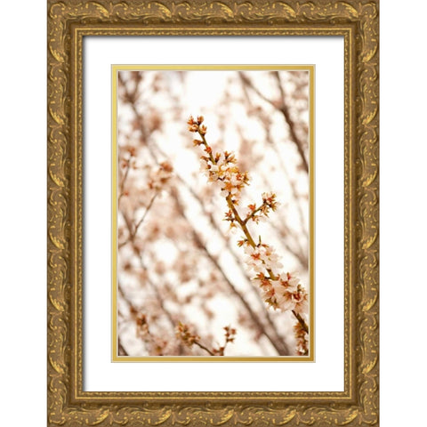 In Bloom XIV Gold Ornate Wood Framed Art Print with Double Matting by Millet, Karyn