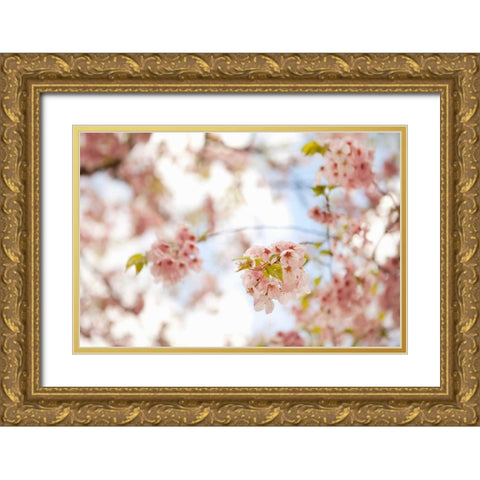 In Bloom XVI Gold Ornate Wood Framed Art Print with Double Matting by Millet, Karyn