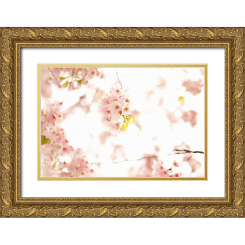 In Bloom XVII Gold Ornate Wood Framed Art Print with Double Matting by Millet, Karyn