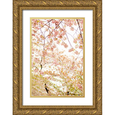 In Bloom XVIII Gold Ornate Wood Framed Art Print with Double Matting by Millet, Karyn