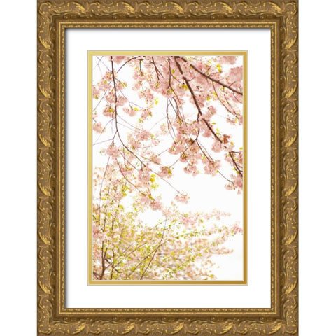 In Bloom XIX Gold Ornate Wood Framed Art Print with Double Matting by Millet, Karyn