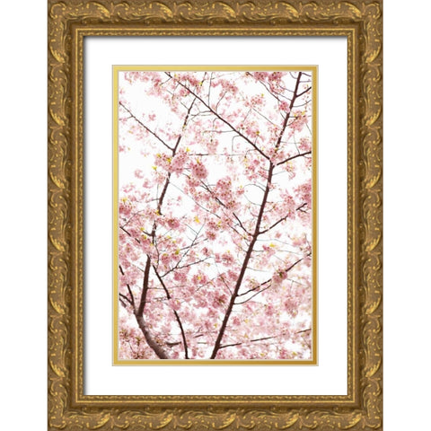 In Bloom XX Gold Ornate Wood Framed Art Print with Double Matting by Millet, Karyn