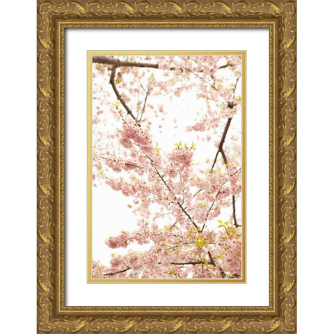 In Bloom XXI Gold Ornate Wood Framed Art Print with Double Matting by Millet, Karyn