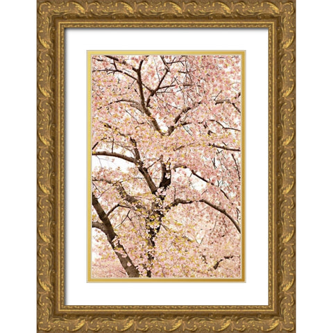 In Bloom XXII Gold Ornate Wood Framed Art Print with Double Matting by Millet, Karyn