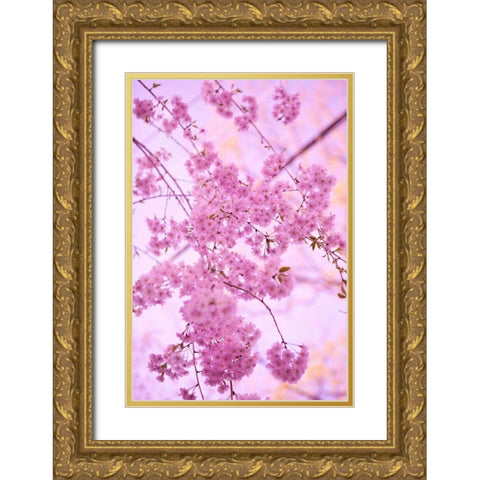 Bright Blooms IV Gold Ornate Wood Framed Art Print with Double Matting by Millet, Karyn
