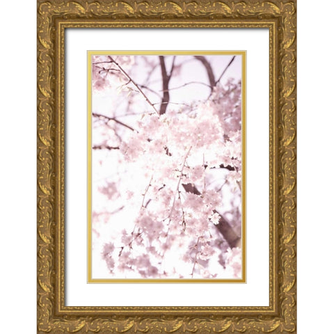 Soft Blooms I Gold Ornate Wood Framed Art Print with Double Matting by Millet, Karyn