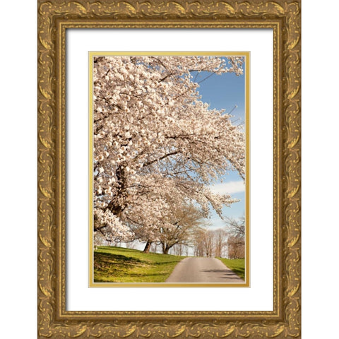 In the Park I Gold Ornate Wood Framed Art Print with Double Matting by Millet, Karyn