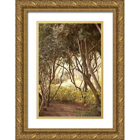 Secret Garden I Gold Ornate Wood Framed Art Print with Double Matting by Millet, Karyn