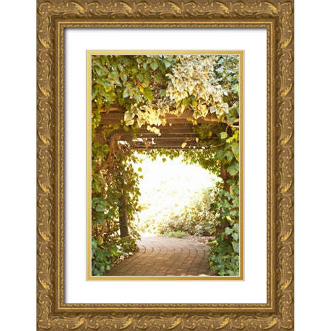 Secret Garden II Gold Ornate Wood Framed Art Print with Double Matting by Millet, Karyn