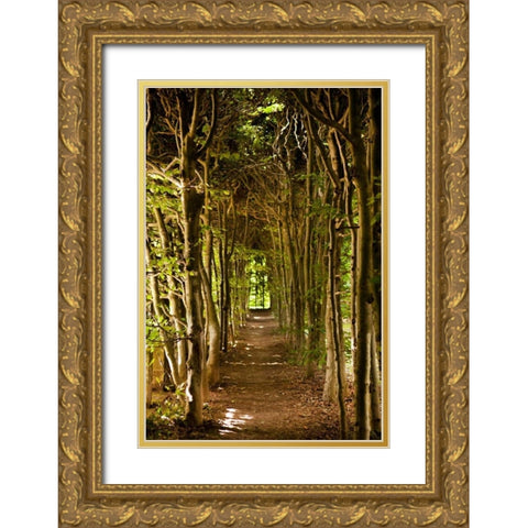 Secret Garden III Gold Ornate Wood Framed Art Print with Double Matting by Millet, Karyn