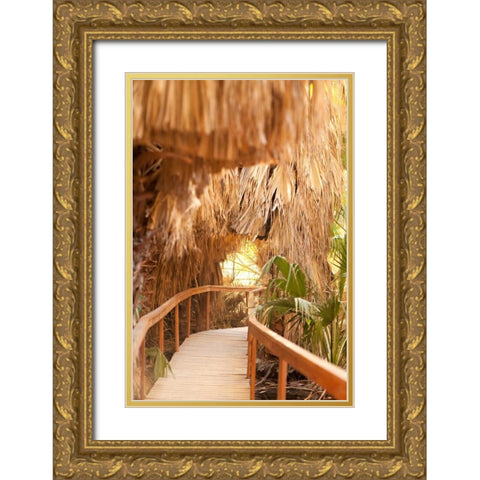 Palm Pathway I Gold Ornate Wood Framed Art Print with Double Matting by Millet, Karyn