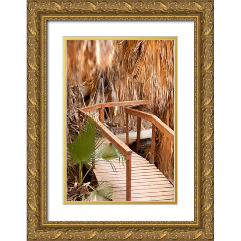 Palm Pathway II Gold Ornate Wood Framed Art Print with Double Matting by Millet, Karyn