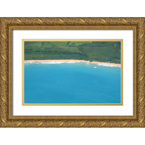 Vieques Sea I Gold Ornate Wood Framed Art Print with Double Matting by Millet, Karyn