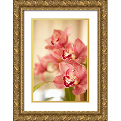 Pink Orchid I Gold Ornate Wood Framed Art Print with Double Matting by Millet, Karyn