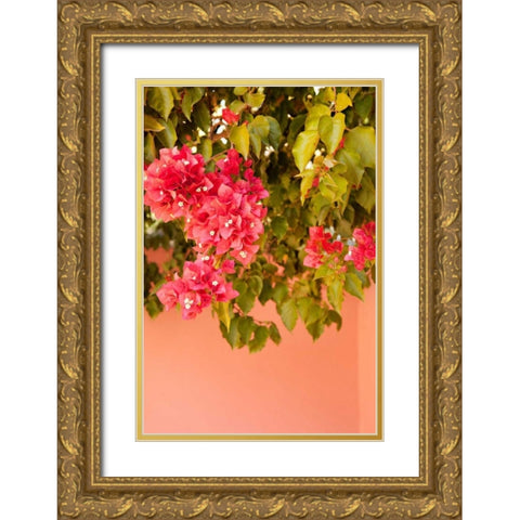 Over the Wall II Gold Ornate Wood Framed Art Print with Double Matting by Millet, Karyn