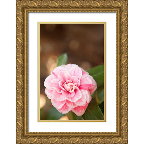 Bokeh Rose I Gold Ornate Wood Framed Art Print with Double Matting by Millet, Karyn