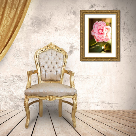 Bokeh Rose II Gold Ornate Wood Framed Art Print with Double Matting by Millet, Karyn