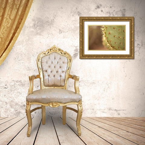 Cactus II Gold Ornate Wood Framed Art Print with Double Matting by Millet, Karyn