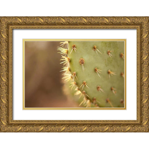 Cactus II Gold Ornate Wood Framed Art Print with Double Matting by Millet, Karyn