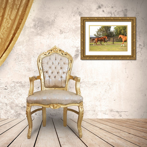 Horse Play II Gold Ornate Wood Framed Art Print with Double Matting by Millet, Karyn