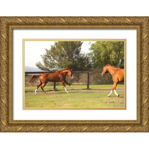 Horse Play II Gold Ornate Wood Framed Art Print with Double Matting by Millet, Karyn