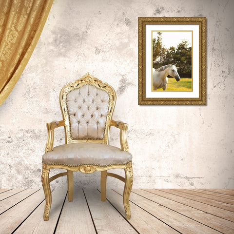 White Horse Gold Ornate Wood Framed Art Print with Double Matting by Millet, Karyn