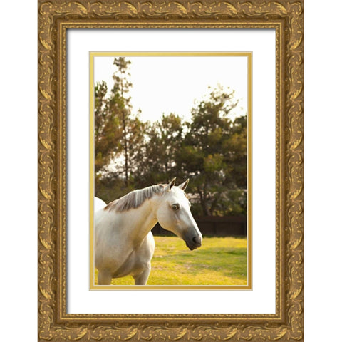 White Horse Gold Ornate Wood Framed Art Print with Double Matting by Millet, Karyn